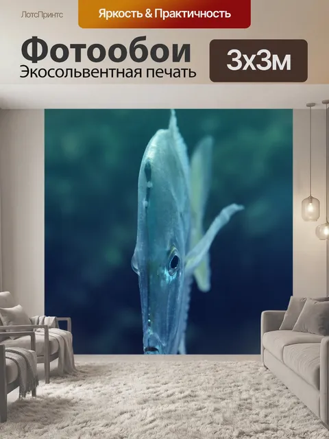 Фотообои Рыбы