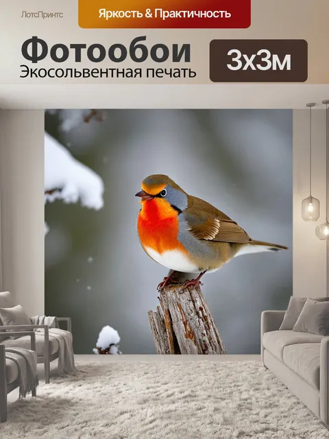 Фотообои птица с красной грудкой