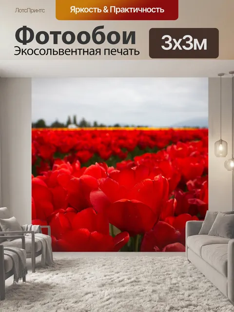 Фотообои Поле красных тюльпанов