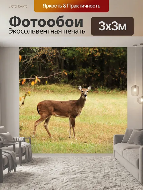 Фотообои Белохвостая лань осенью