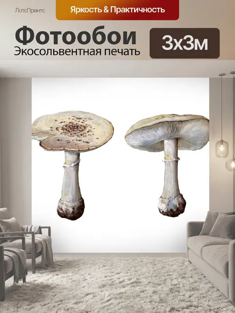 Фотообои Винтажные художественные иллюстрации гри