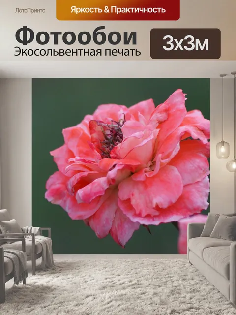 Фотообои Цветок