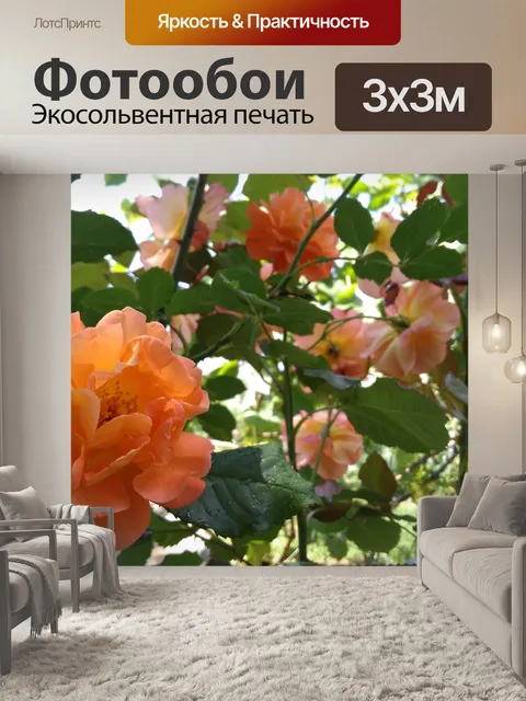 Фотообои Розы, природа