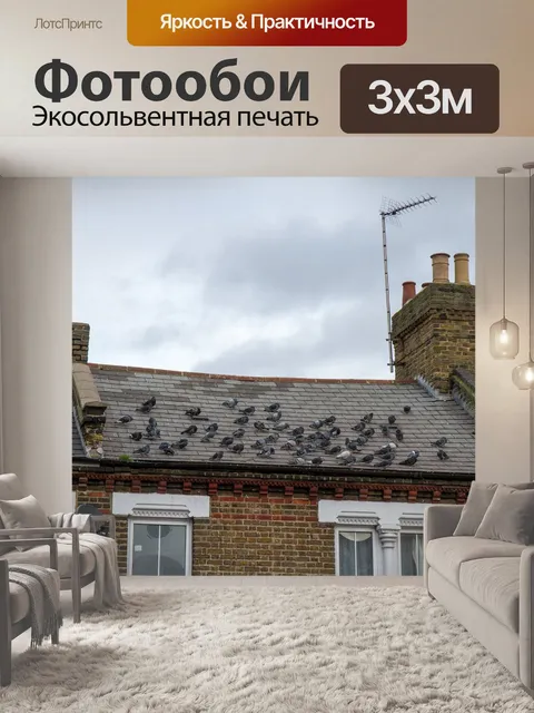 Фотообои На крыше