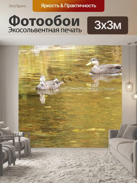 Фотообои Two Ducks