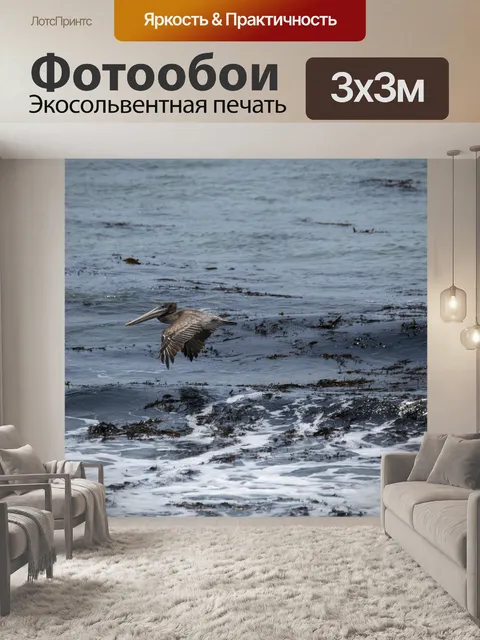 Фотообои Пеликан