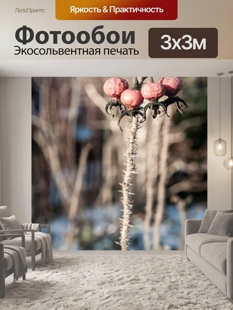 Фотообои Зима