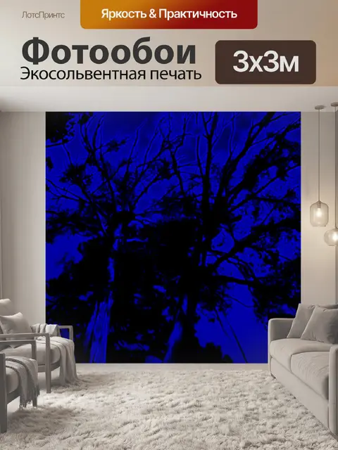 Фотообои высокие деревья на синем фоне
