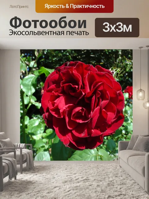 Фотообои Красный Куст