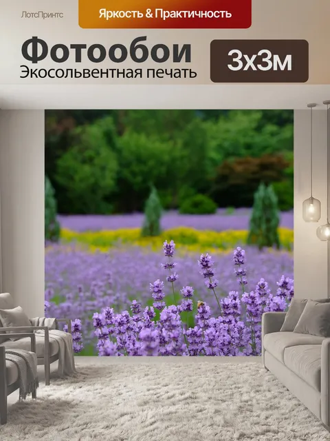 Фотообои Лаванда