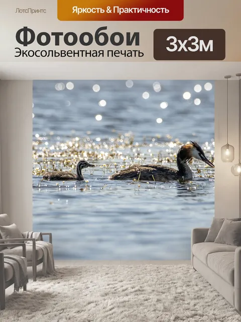 Фотообои Большая хохлатая поганка