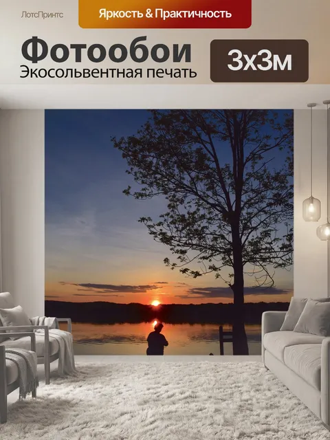 Фотообои Силуэт