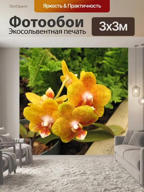 Фотообои Цветочный садик