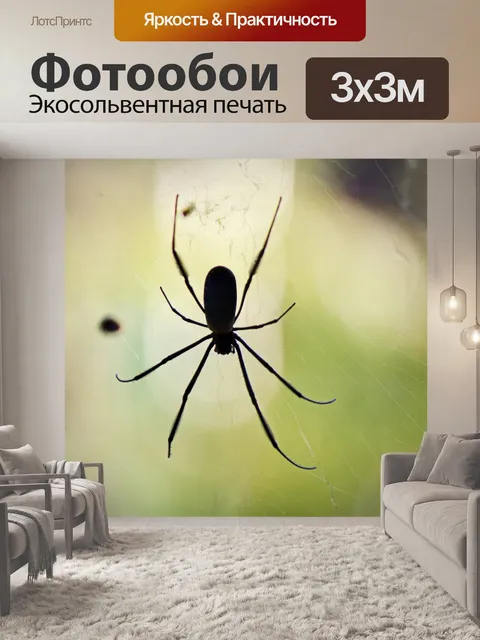Фотообои золотой шар ткач паук в ее сети