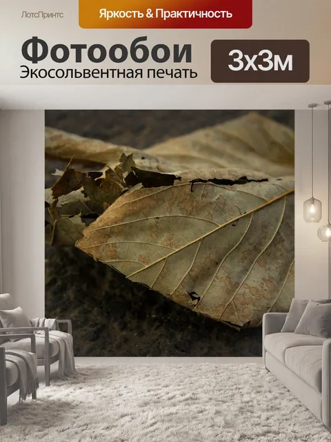 Фотообои Лист