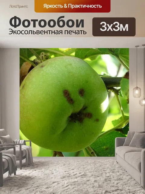 Фотообои Фрукты