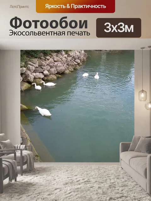 Фотообои Лебеди на озере Тразимено