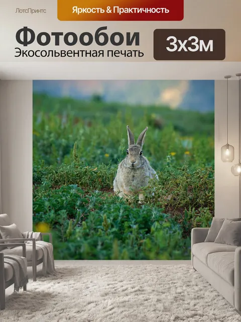 Фотообои Вонючий