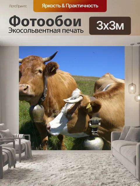 Фотообои Корова