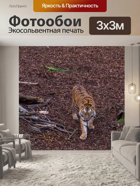 Фотообои Тигр