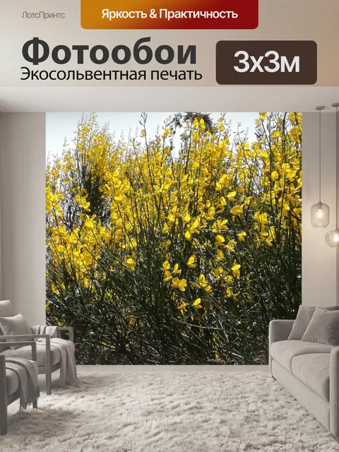 Фотообои Желтые цветы