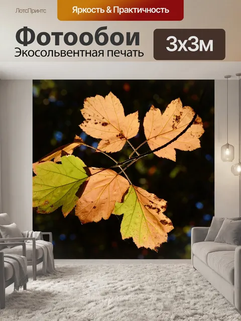 Фотообои Листья