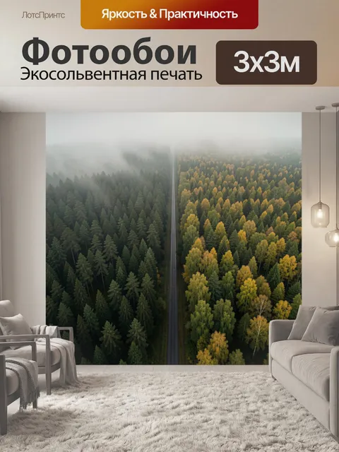 Фотообои Туманная дорога через лес