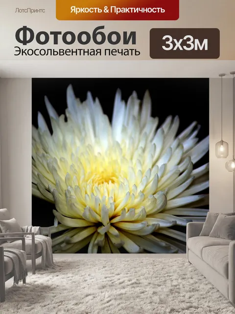 Фотообои белый цветок