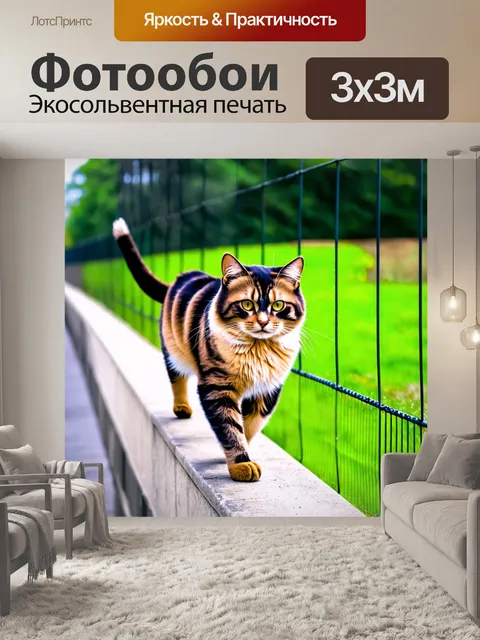 Фотообои кот, изящно проходящий по кромке забора
