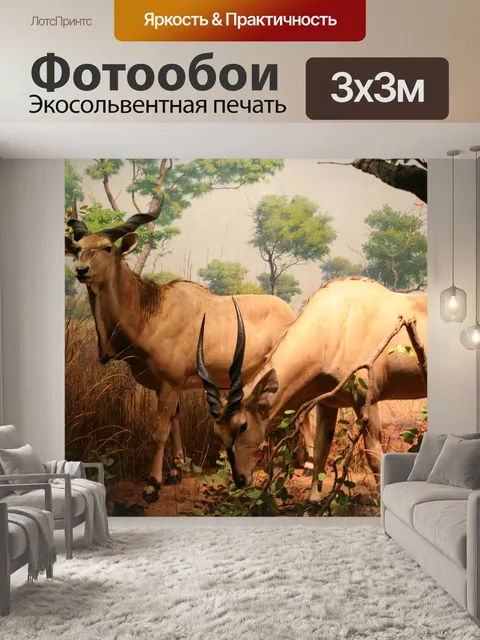 Фотообои Серна