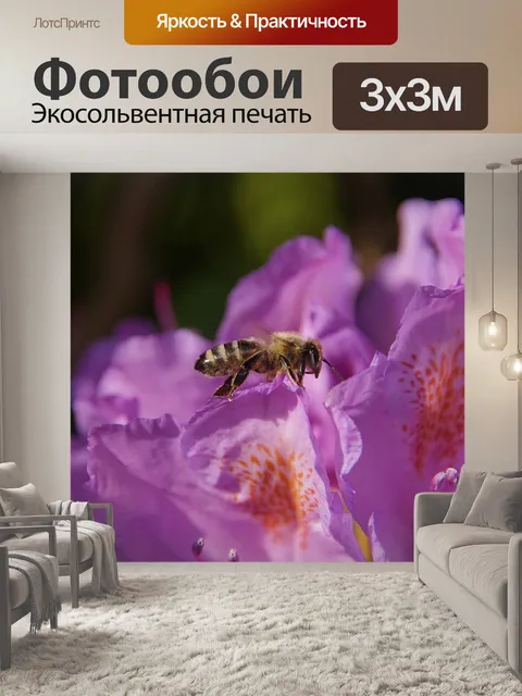 Фотообои Пчела