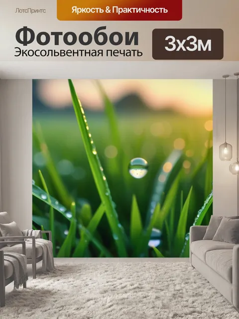 Фотообои рассвет с каплями росы на траве