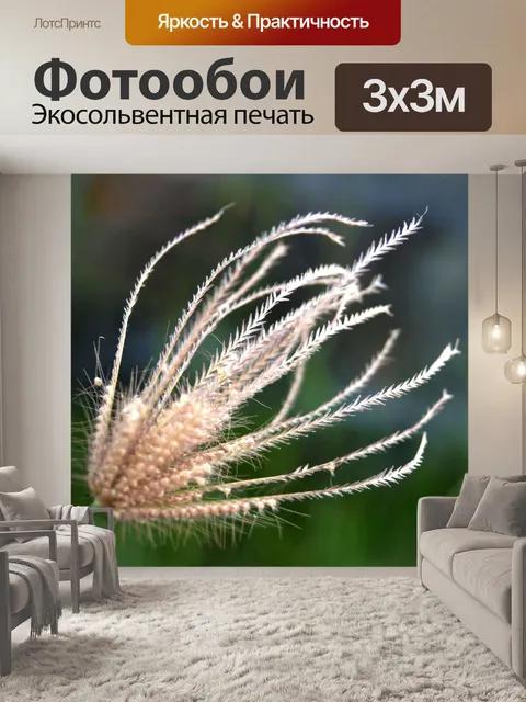 Фотообои Сухой дикий цветок