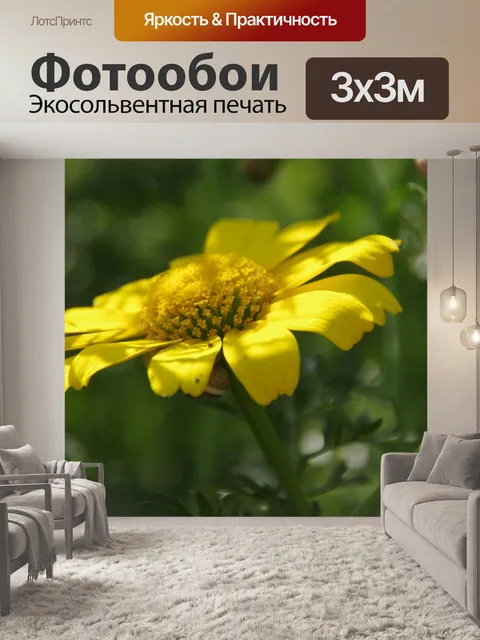 Фотообои Одноместный желтая ромашка