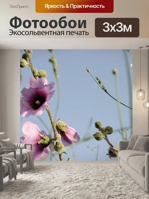 Фотообои Крупный план цветов мальвы