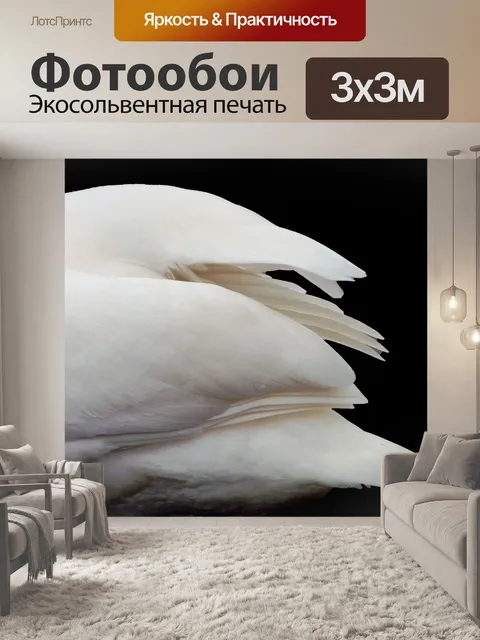 Фотообои Лебедь