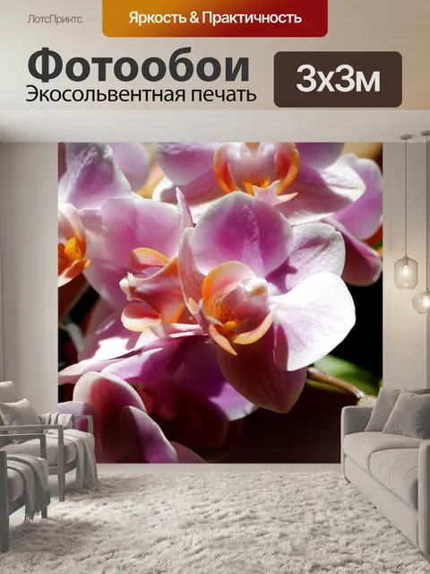 Фотообои Орхидеи