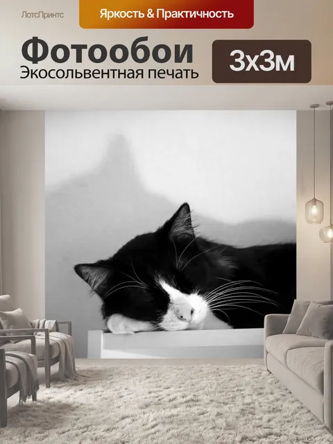 Фотообои Кошка