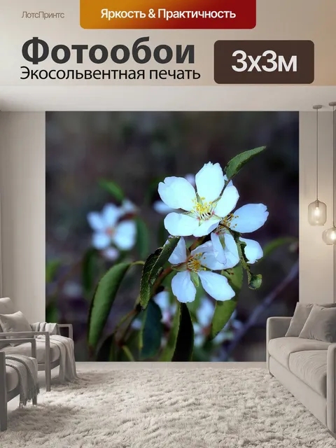 Фотообои Цветы миндаля