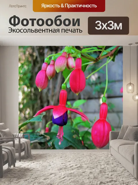 Фотообои фуксия цветы