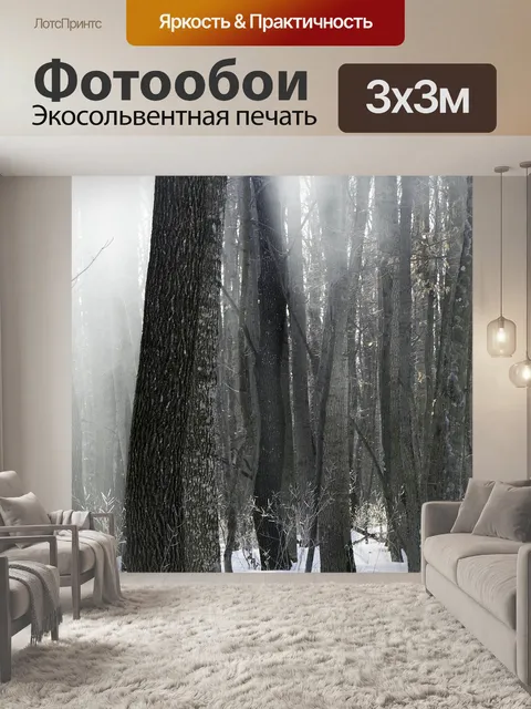 Фотообои Лес