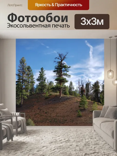 Фотообои Деревья на холме