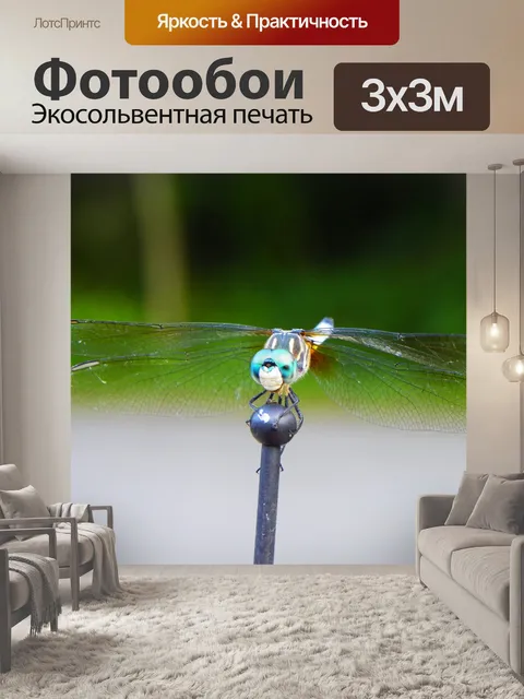 Фотообои Dragon Fly
