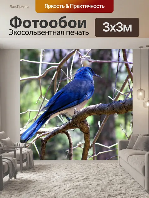 Фотообои Синяя птица