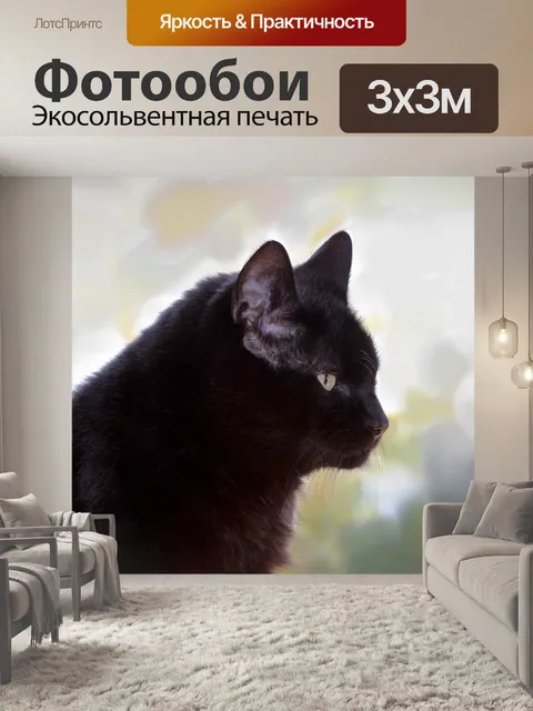 Фотообои Кот