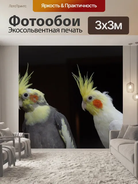 Фотообои Корелла