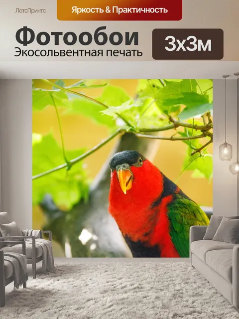 Фотообои черная шапочка лори