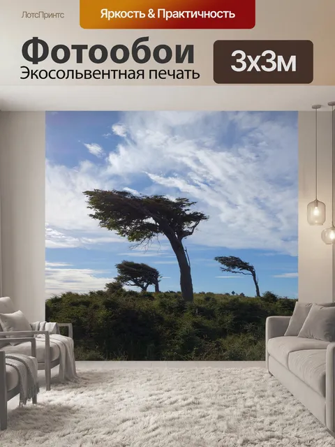 Фотообои Деревья