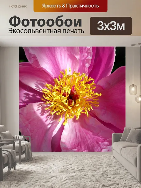 Фотообои Пион