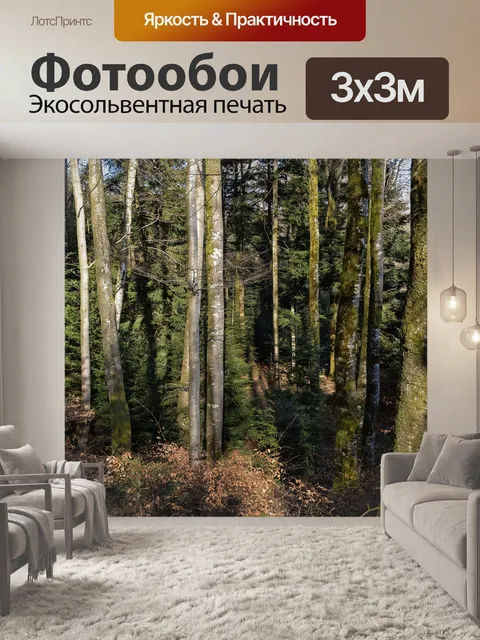 Фотообои Лес